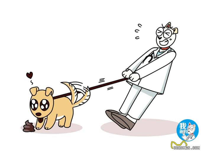 几乎所有的狗狗成年前都是小恶魔，铲屎官该如何正确教育引导?