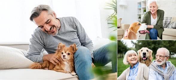 老年人养狗，你真的准备好了吗?
