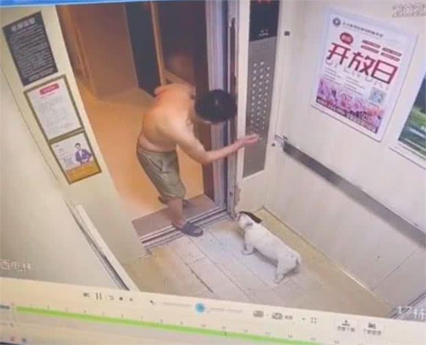 狗狗嫌天热自己坐电梯回家?原来是邻居帮按电梯，狗子人缘真好