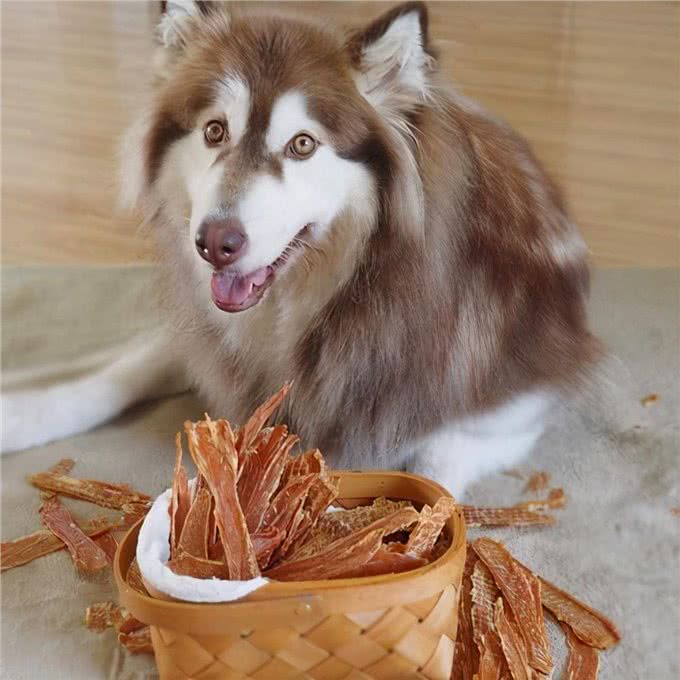 狗狗为什么会护食?有这几个原因