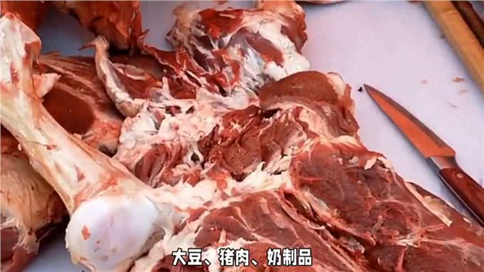 养狗经验分享，狗狗过敏大揭秘，铲屎官必看，—科学养宠攻略