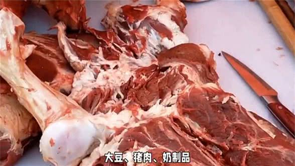 养狗经验分享，狗狗过敏大揭秘，铲屎官必看，—科学养宠攻略