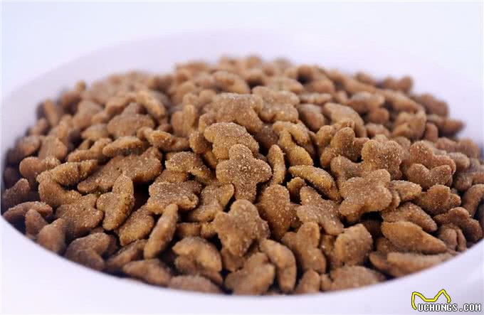 宠物主粮:干粮VS湿粮，不知选哪种?对比之后我给它们混着吃