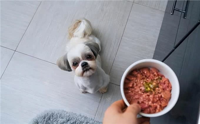 这几种食物，对狗来说是人间美味，可惜很多人没喂过