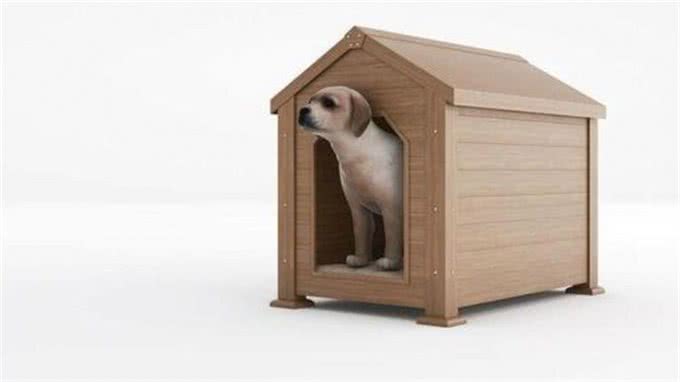 科普:狗屋大小跟狗体型有什么关系?