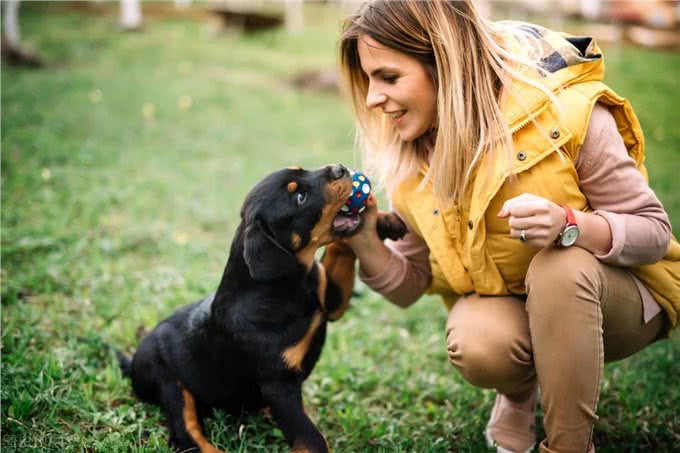 犬莱姆病—以蜱为传播媒介的一种自然疫源性人兽共患的流行与防治