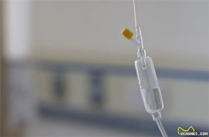 养狗致老人全身抽搐、紧急送医?上海两邻居因毛孩子对簿公堂