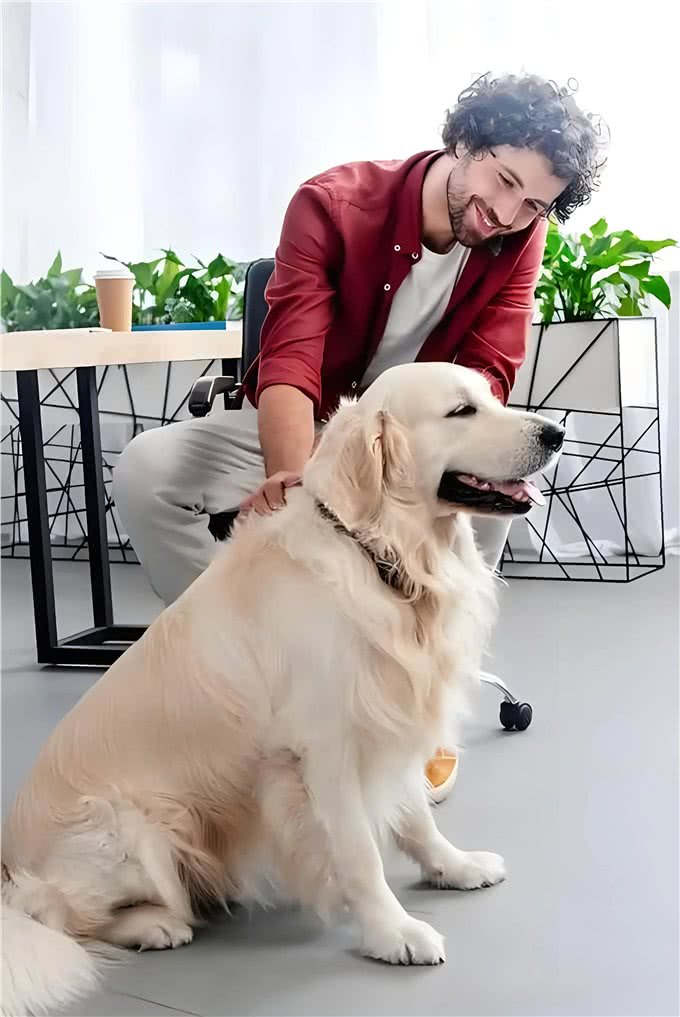 回到老家碰到陌生狗狗，想和它玩耍，主人应如何引导