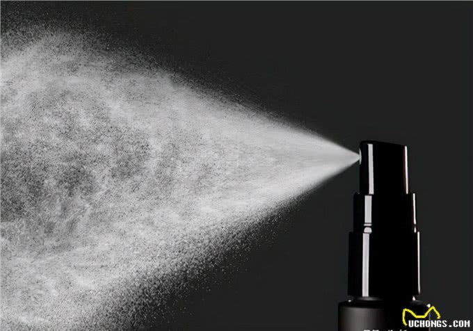 寄生虫困扰:狗狗里的寄生虫，怎么处理会比较好而且快速?