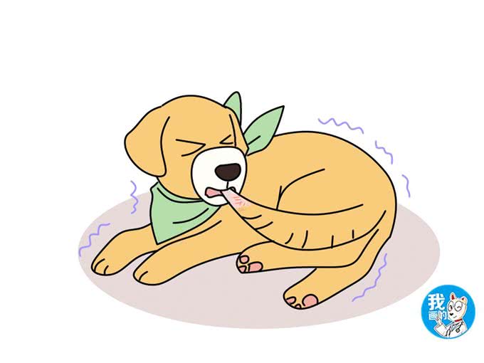 犬自咬症看似好玩，实际病犬很痛苦，分析狗患病的6个病因