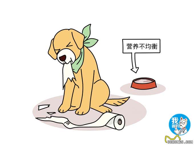 犬自咬症看似好玩，实际病犬很痛苦，分析狗患病的6个病因