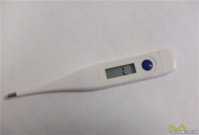 有了这些医疗用品，你可以当狗狗的家庭宠物医生了，你家有吗?