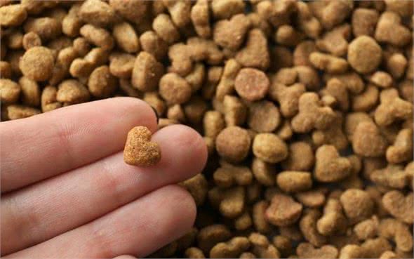 好狗粮怎么去挑选?