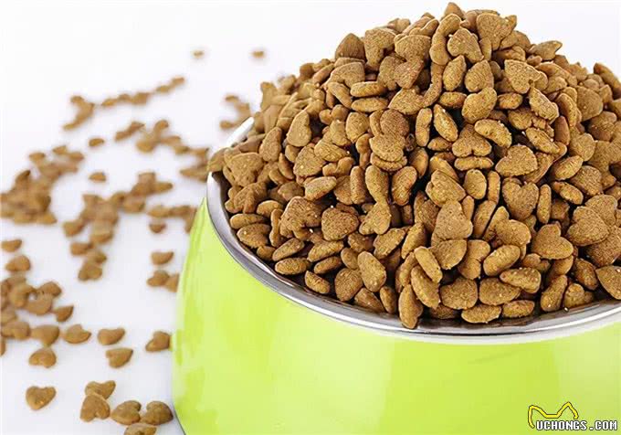 萌宠:狗狗不爱吃食了?突然不吃的处理方法，先判断是否生病