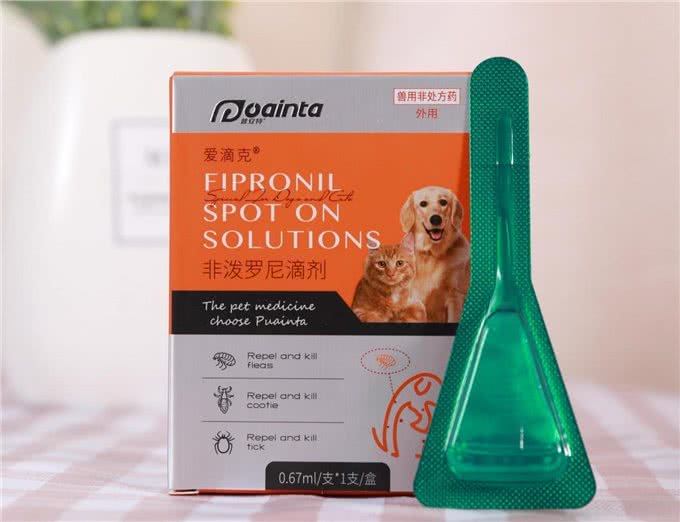 养狗要准备哪些物品?新手注意