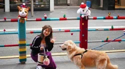 最严养狗令正式实施!违者,狗没收,人罚款