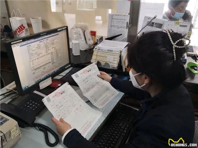 想带宠物一起出行?铁路宠物托运了解一下