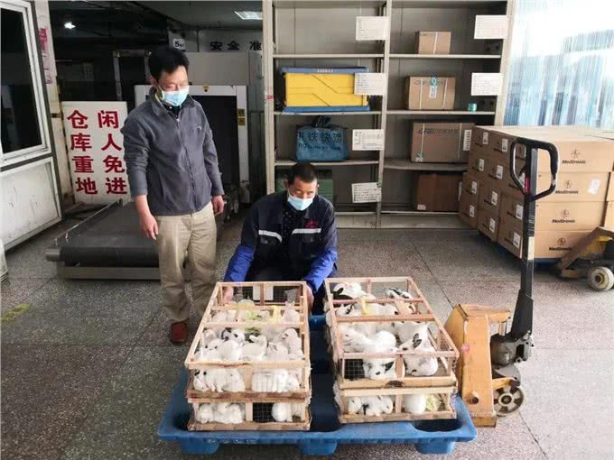 想带宠物一起出行?铁路宠物托运了解一下