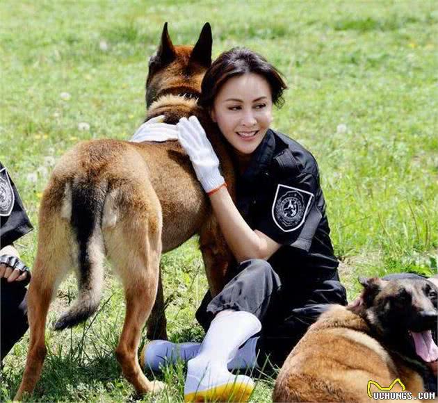狗狗当警犬需要满足的5个条件，缺一不可