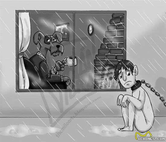 你凭什么让狗直立行走?