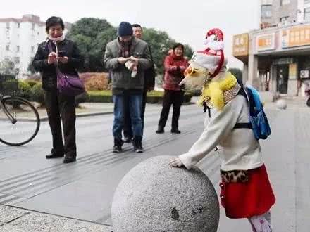 你凭什么让狗直立行走?