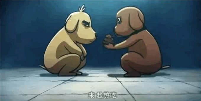 狗为什么喜欢吃便便?真的改不了吗?