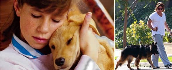 爱犬在家称霸王连主人都不放过，你还不反省?
