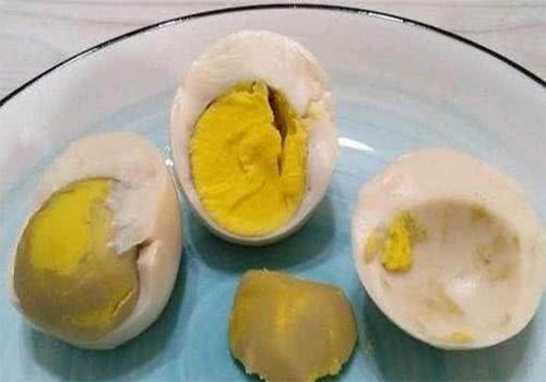 狗为什么掉毛严重怎么办?一薅一把毛的狗狗喂什么才能减少掉毛?