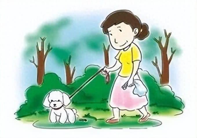 文明无处不在，礼仪无处不有—养犬养宠篇