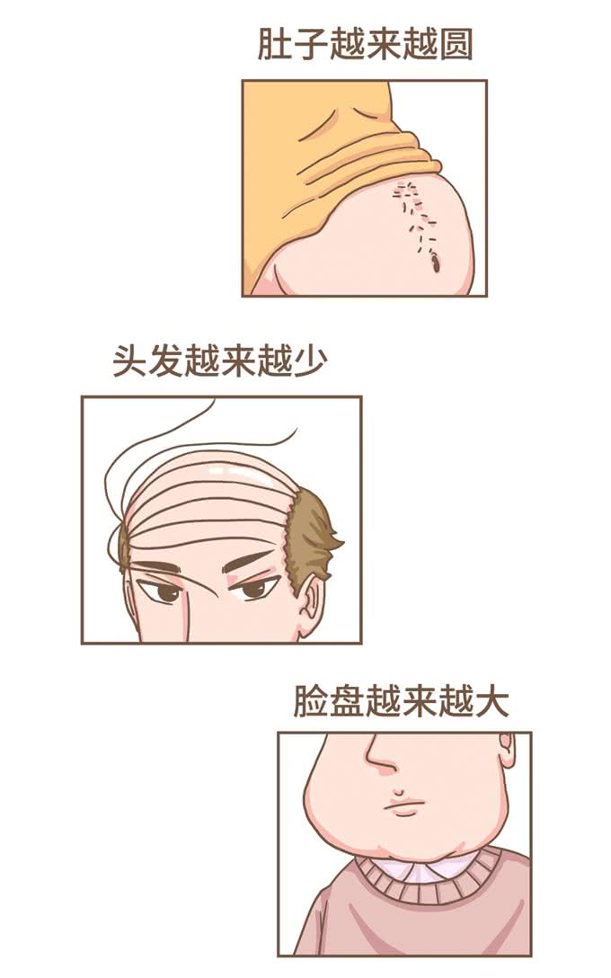 发腮，是一只公猫成熟的标志