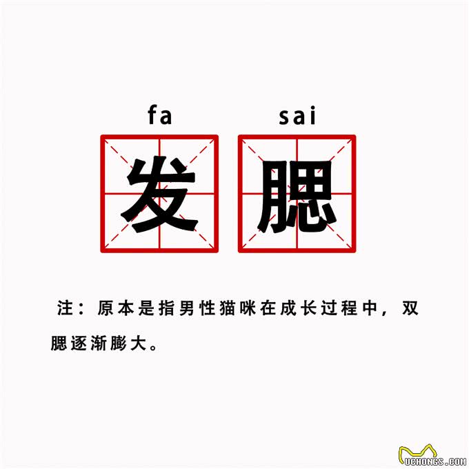 发腮，是一只公猫成熟的标志