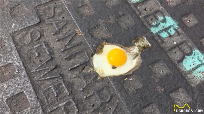 夏天不止要预防狗狗中暑，还要注意它的脚垫，你没发现都烤红了?