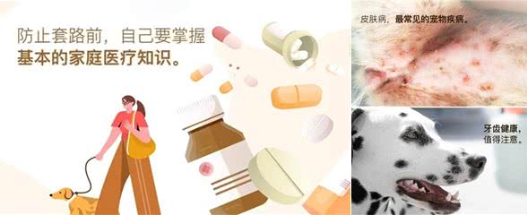 宠物疾病治疗怕被坑?多格爸爸推荐的基础用药指南
