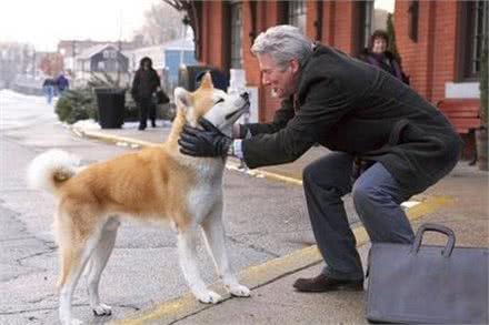 狗狗相当于人类几岁?最新人犬年龄转换公式新鲜出炉