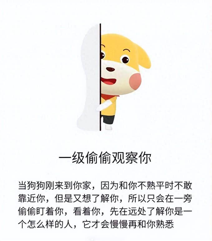 狗狗爱你程度分7级