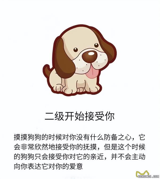 狗狗爱你程度分7级
