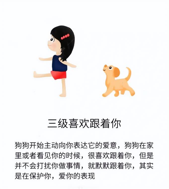 狗狗爱你程度分7级