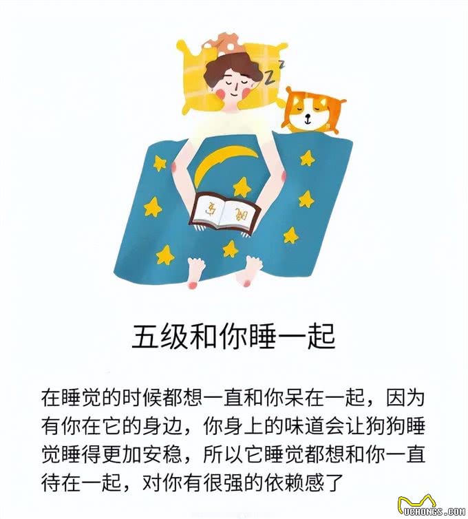 狗狗爱你程度分7级