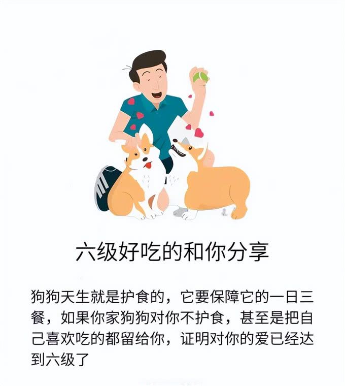 狗狗爱你程度分7级