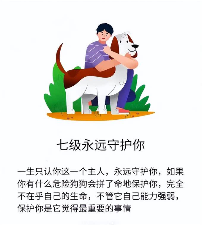 狗狗爱你程度分7级
