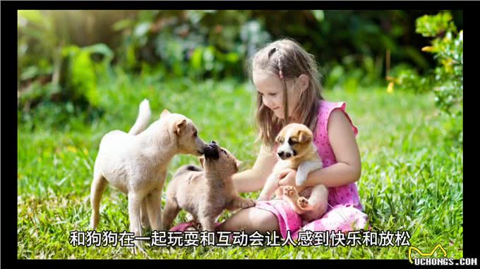 养狗之后，狗主人的性格会发生哪些积极变化?
