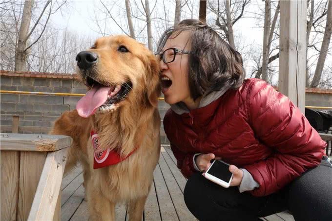 这6种狗狗，都很好养熟，喂一段时间你就能成为它亲人