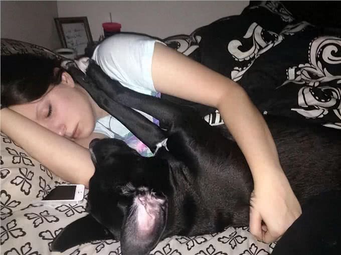 为什么不建议让狗上床睡?过来人表示:有5大弊端