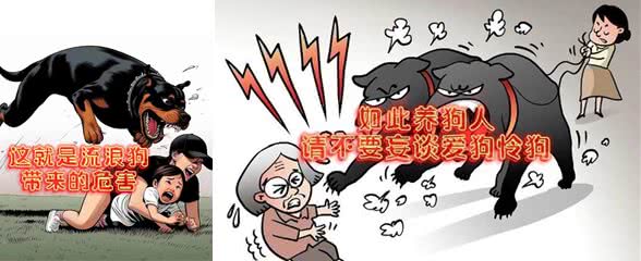养狗遛狗不拴绳，自语狗不会咬人，咬不咬人那只是你的认知