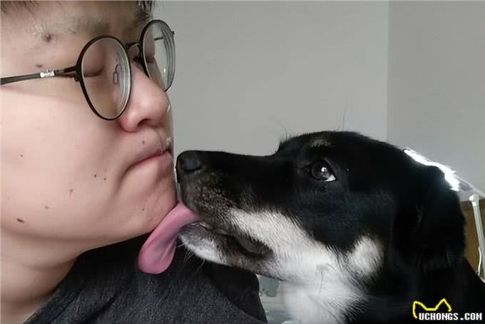 医生叹息:养狗会引起这5种病，有些还无药可医，很多人都后悔了