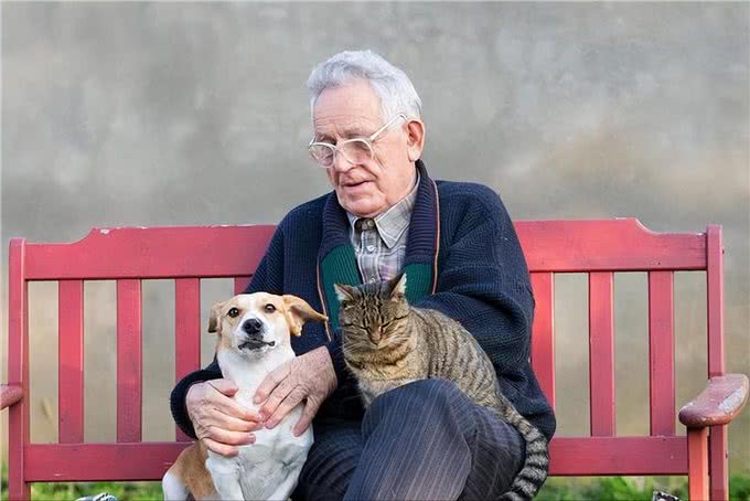 医生叹息:养狗会引起这5种病，有些还无药可医，很多人都后悔了