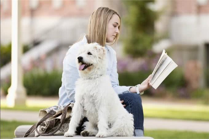 医生叹息:养狗会引起这5种病，有些还无药可医，很多人都后悔了