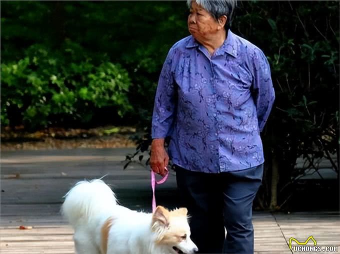 医生叹息:养狗会引起这5种病，有些还无药可医，很多人都后悔了