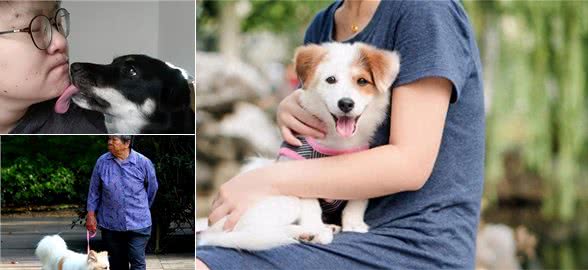 医生叹息:养狗会引起这5种病，有些还无药可医，很多人都后悔了
