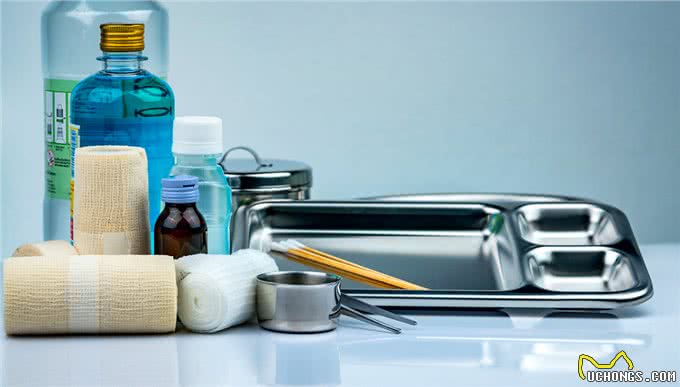 照料伤犬:受伤的狗狗吃什么好小狗受伤后吃什么比较好